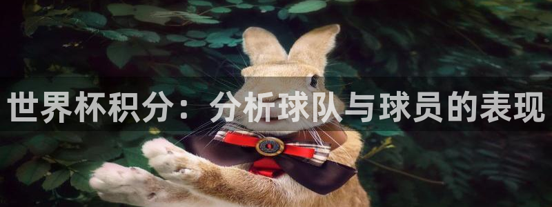 2026年世界杯:世界杯积分:分析球队与球员的表现