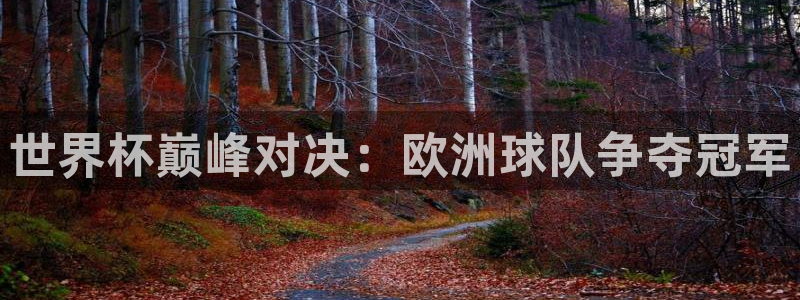 世界杯直播网站:世界杯巅峰对决:欧洲球队争夺冠军