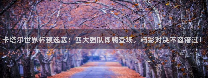 欧洲世界杯预选赛赛程:卡塔尔世界杯预选赛:四大强队即将登场,精彩对决不容错过!
