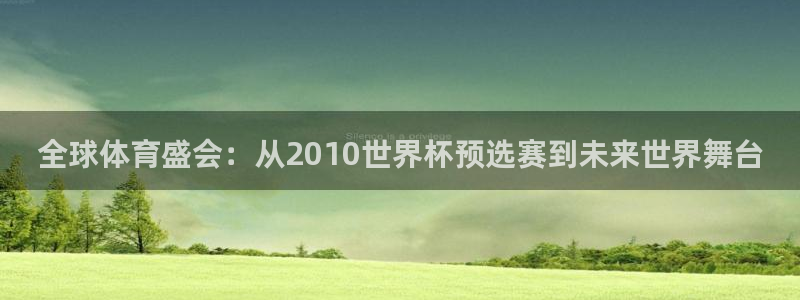 2026世界杯对阵图:全球体育盛会:从2010世界杯预选赛到未来世界舞台