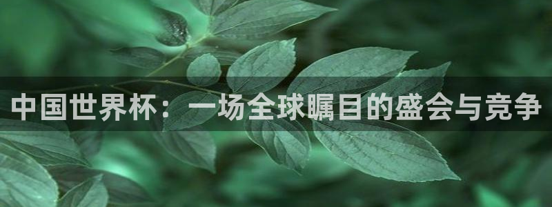 世界杯附加赛赛程表:中国世界杯:一场全球瞩目的盛会与竞争